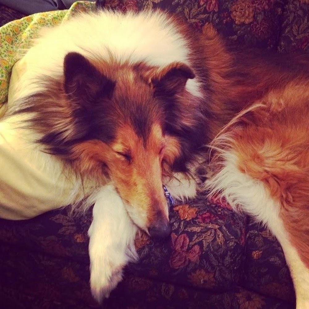 Meet your Posher, Audrey